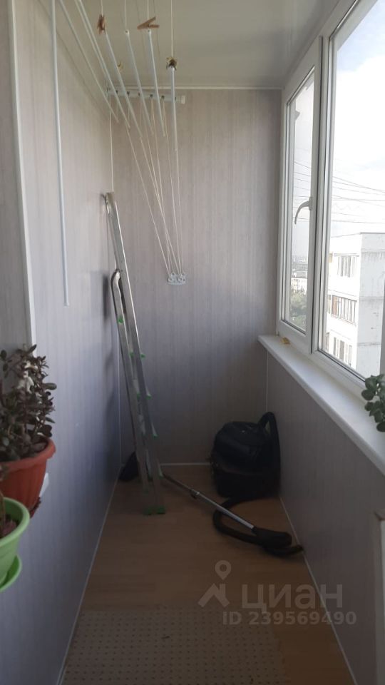 Сдам двухкомнатную квартиру 45м² Борисовский проезд, 44К3, Москва, ЮАО, р-н Орехово-Борисово Северное м. Домодедовская - база ЦИАН, объявление 239569490