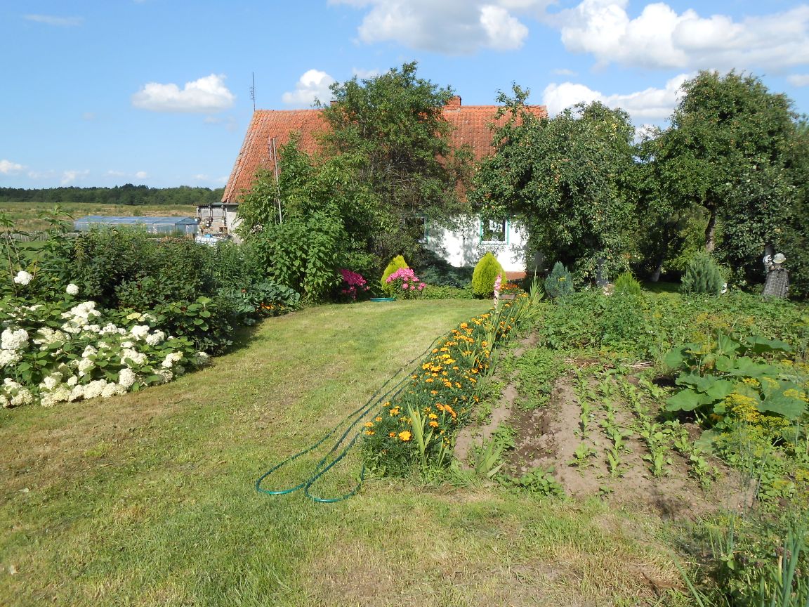 поселок сосны багратионовский район калининградская область. пос нагорное калининградская область багратионовский район. калининградская область багратионовский район южный 4. поселок стрельня багратионовского района. 48.