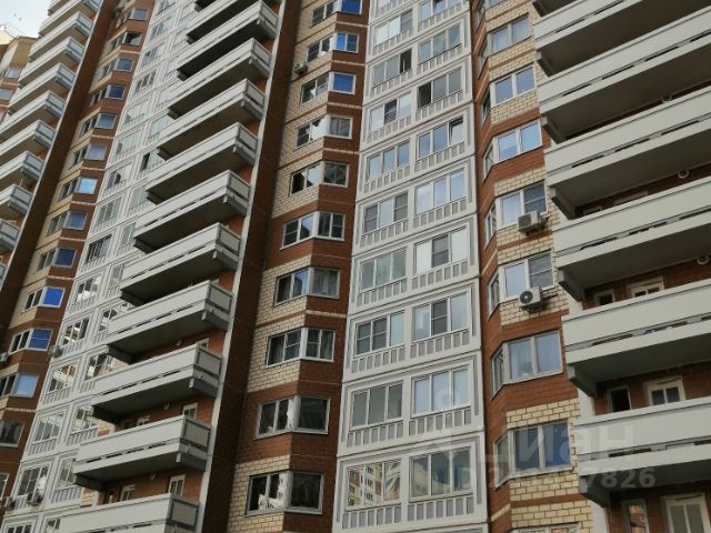 Аренда На Новый Год Москва