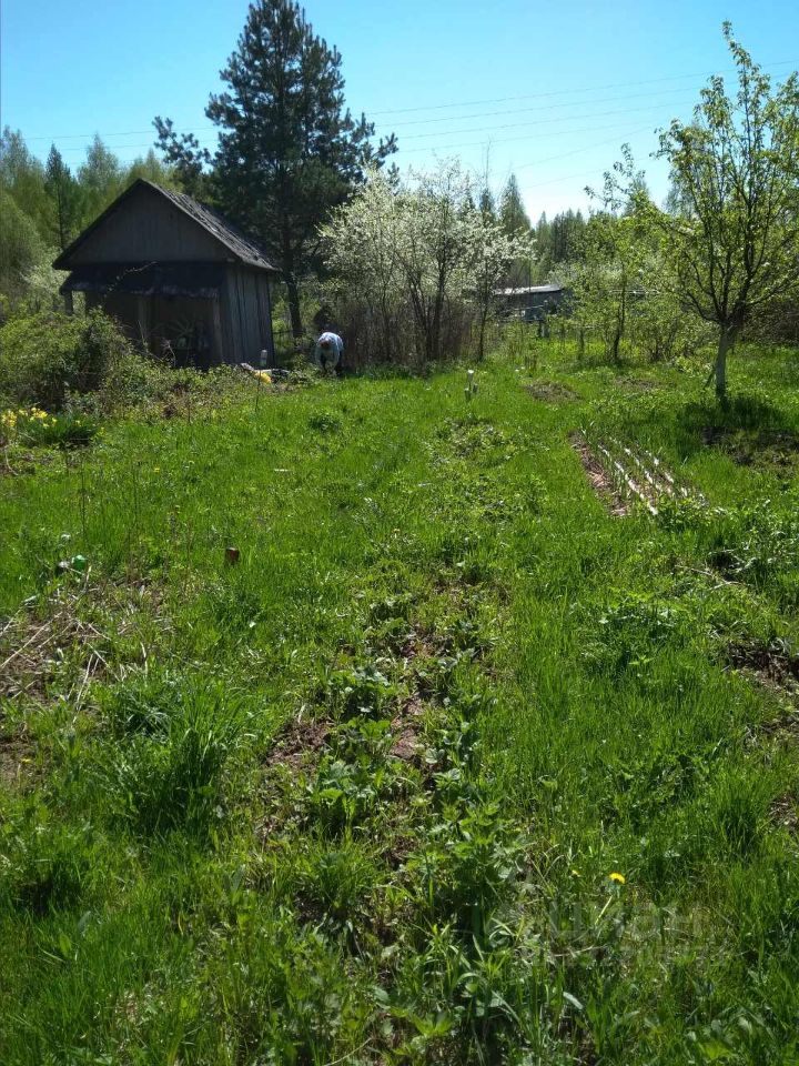 Снт ягодное нижегородская область богородский