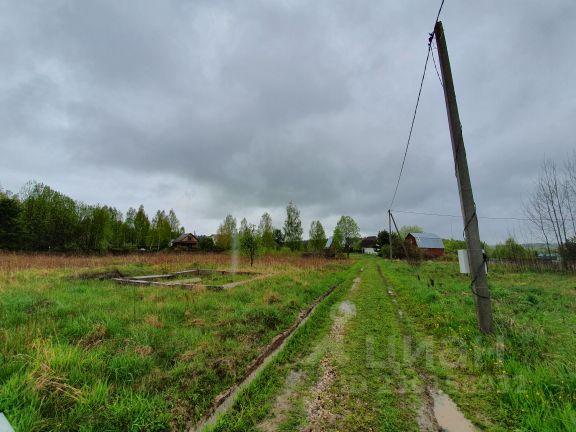 Малинка шаховская. Высокое (городской округ Шаховская).