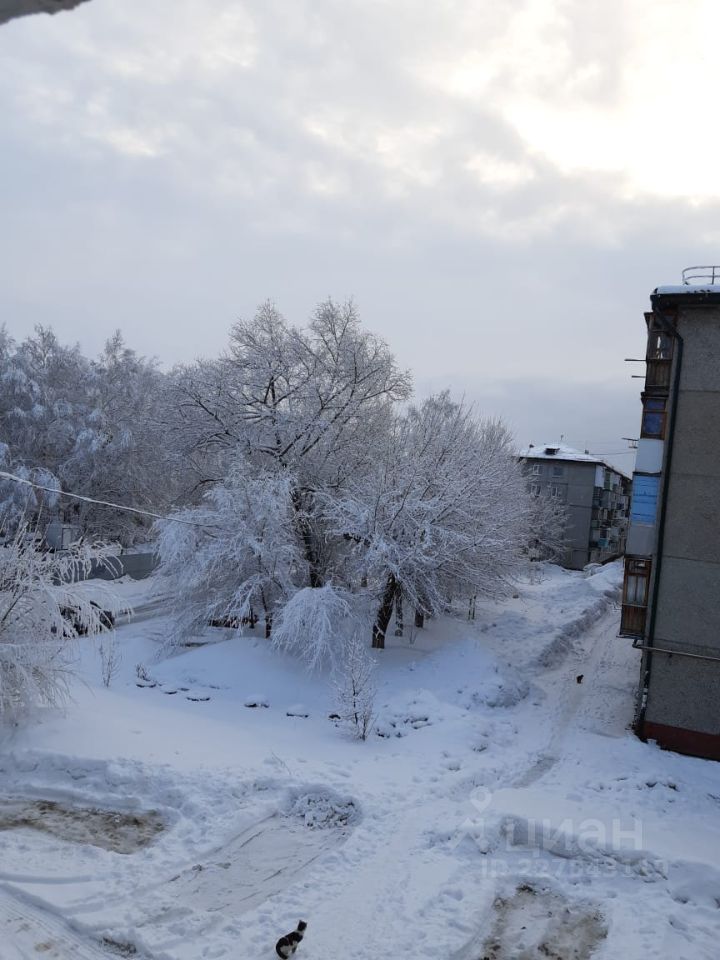 Продажа однокомнатной квартиры 31.4м² Новороссийская ул., 9/81, Барнаул, Алтайский край, р-н Железнодорожный - база ЦИАН, объявление 227843119