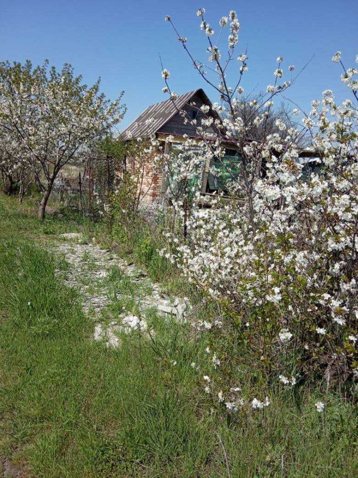 Купить Дачу В Приморке Неклиновского Района