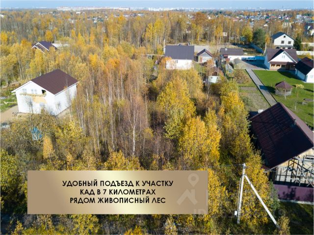 Купить Магазин В Ленинградской Области