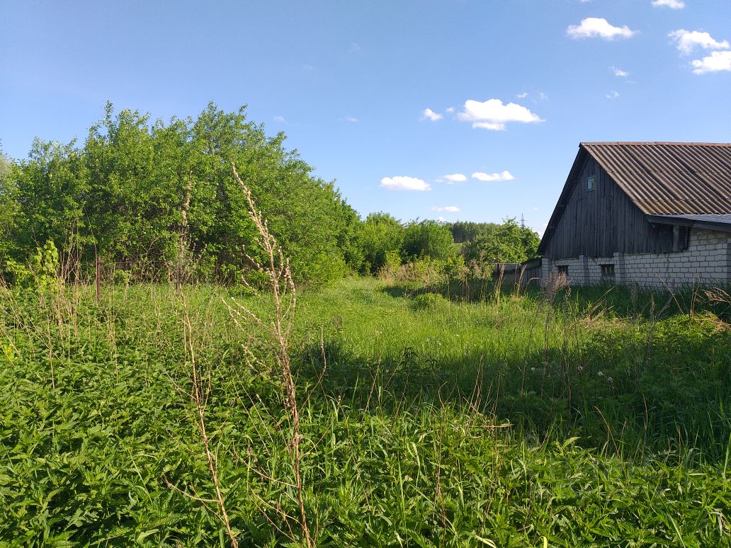 Погода в кстово новоликеево