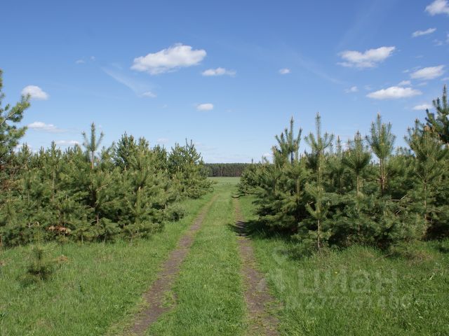 Село Петровское Ивановской области