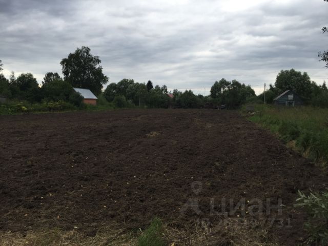 Автобус вербилки нушполы. Нушполы Вербилки.