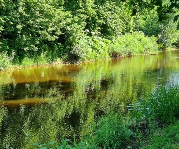 Можно ли в воде глубокого колодца увидеть отражение солнца