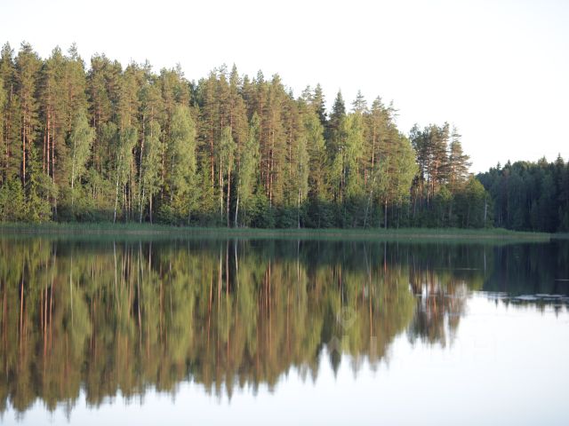 Купить Участок В Гдовском Районе Псковской