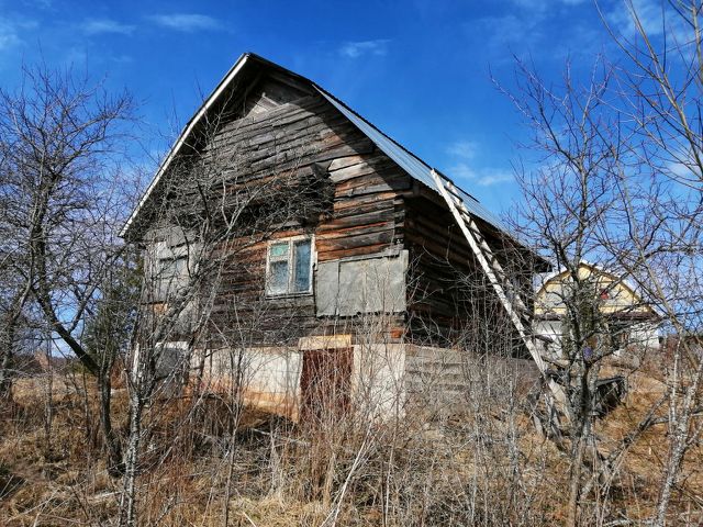 Коп в подвалах старых домов