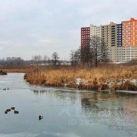 Жк пехра балашиха фото