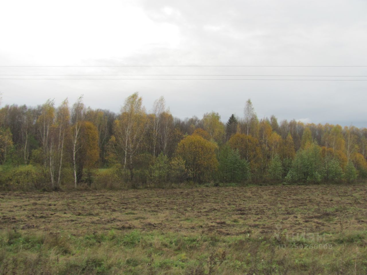 Участок в пущино. Дубачино Серпуховский. Каргашино Московская область. Участок 8 га в Подмосковье. Д. Каргашино г.о. Серпухов.