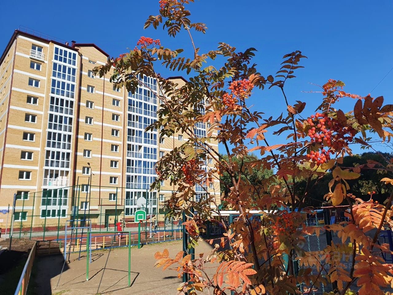 Пушкина 100 волжский. Пушкина 100 2. Участок улица репина улан-удэ. Пушкина 100 2. Улица ращупкина москва.