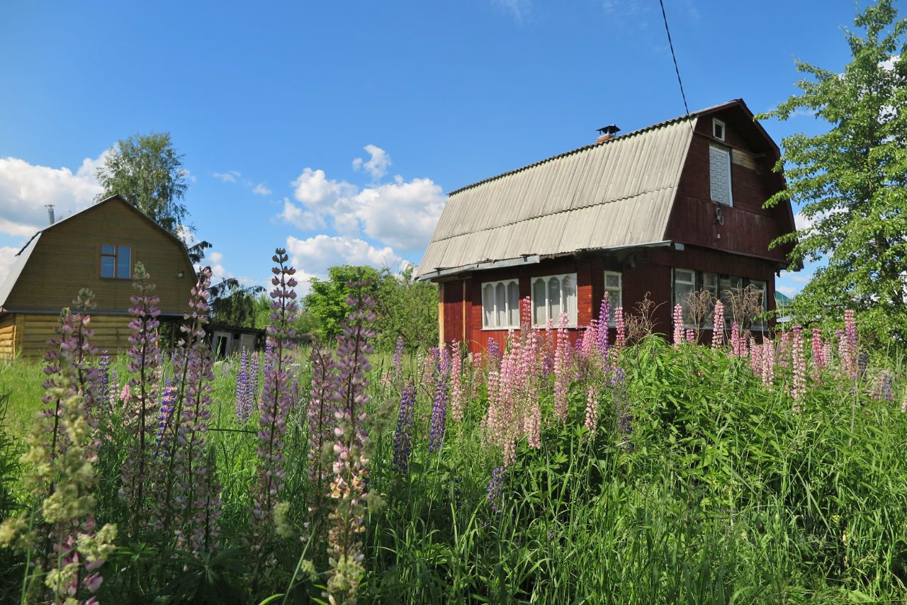 Купить Дачу В Снт Борец Талдомский Район