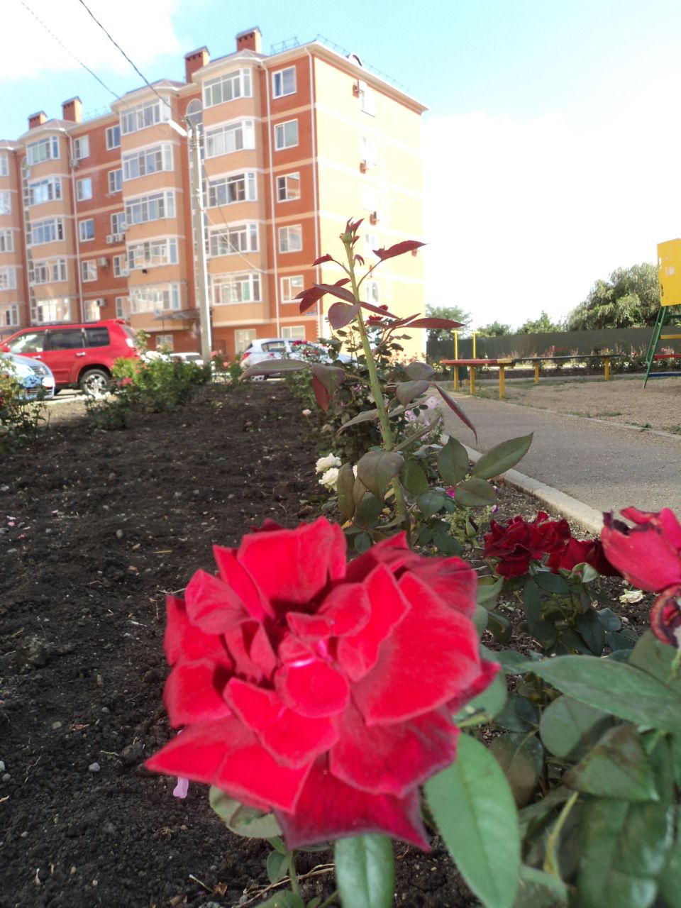 фото ЖК Молодежный