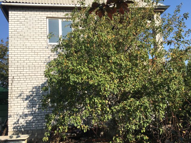 nedvizhimost v volgograde cian