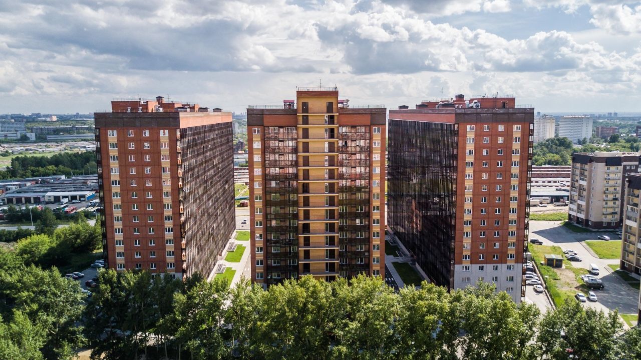 Стрижи Новосибирск Фото Стрижи Новосибирск Фото