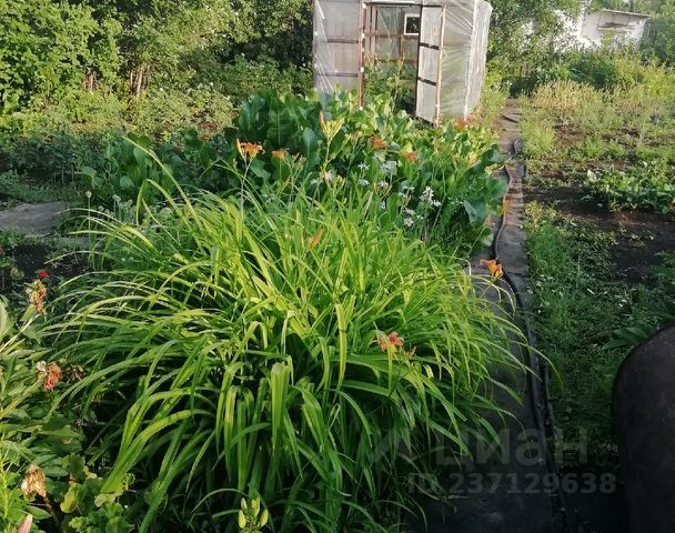 Снять дачу 🏡 в Магнитогорске дорого без посредников - аренда дачных участков на klimatcentr-102.ru