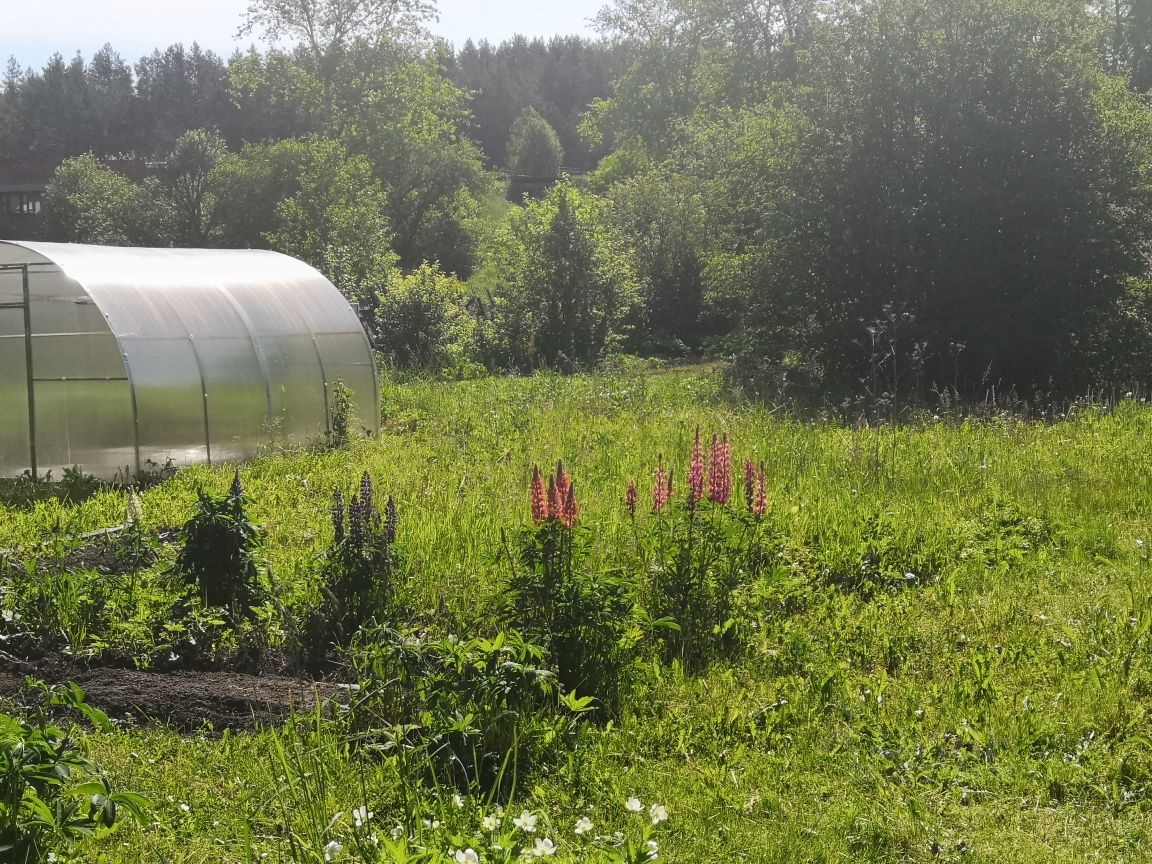 https://ekb.cian.ru/kupit-dachniy-uchastok-sverdlovskaya-oblast-pervouralsk-gorodskoy-okrug-novoutkinsk-01205722/