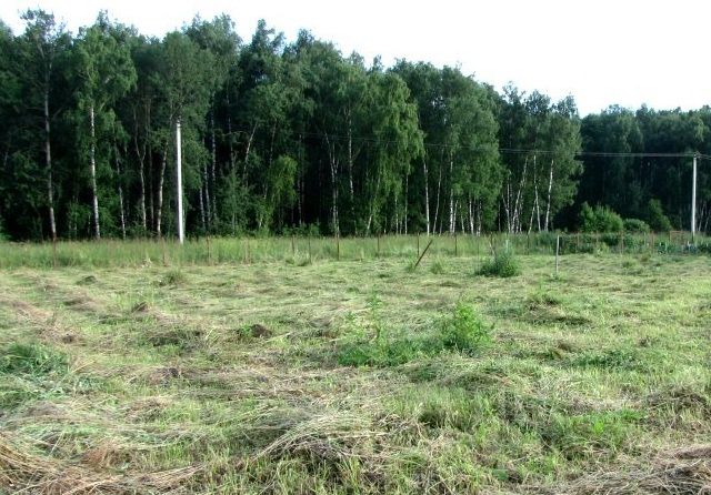 Снт шугарово. Шугарово 2. Шугарово 2. Снт восток 2 шугарово. Шугарово 2.