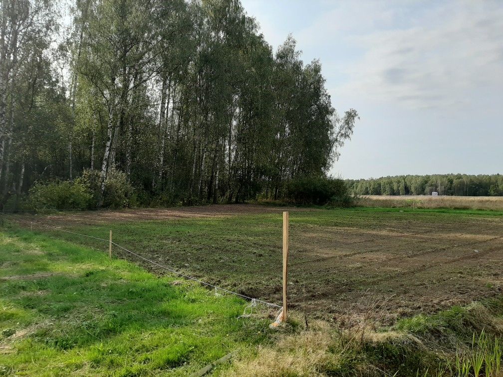 Погода в минаево домодедовского