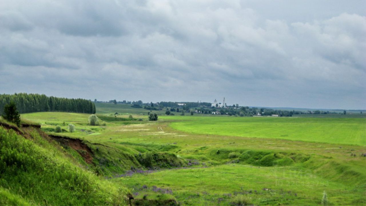 Рельеф нижегородской. Формы земной поверхности Рязанской области. Формы земной поверхности Нижегородской области. Холмы Рязанской области. Земная поверхность Нижегородской области.