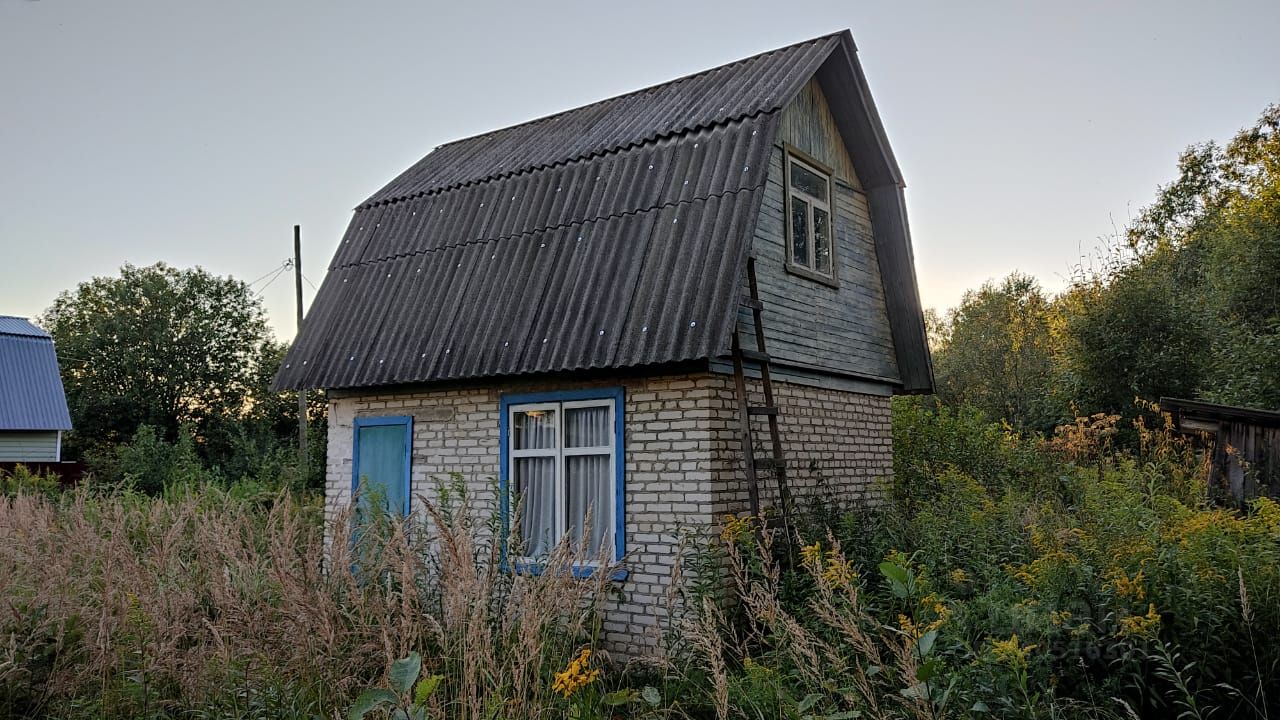 Купить Дачу Владимирская Область От Собственника