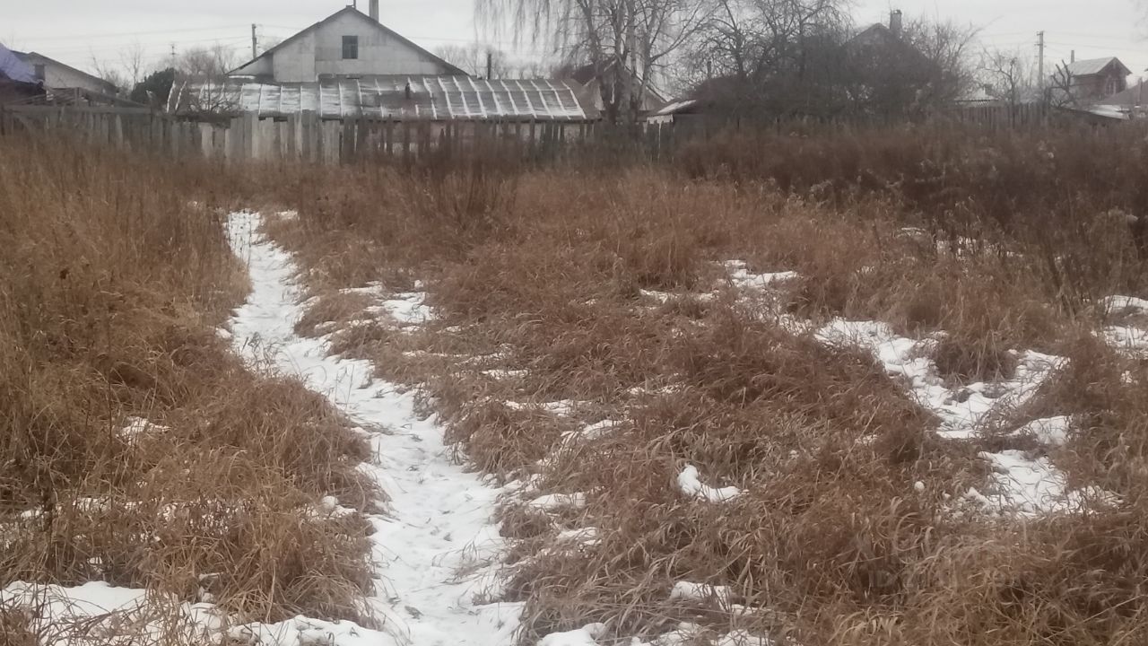 Деревня ивонькино картинки