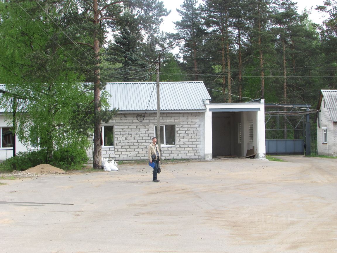 Работа в хвойной новгородской. Берёзка лагерь Ярославль. Лагерь Березка Ярославская.