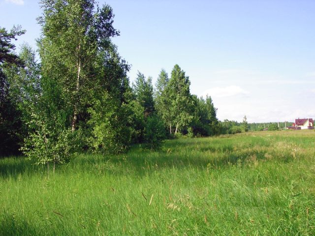 Купить Участок Воскресенское Ногинский