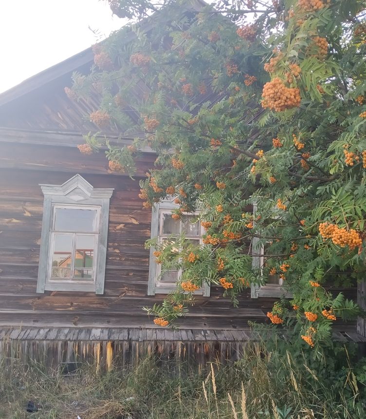 Погода сосновка пензенская обл. Сосновка Пензенская область Бессоновский район. Пензенская область Сосновка улица Лесная. Пензенская область Сосновка улица Лесная дом 11. Дом в Сновском по ул.Заречная.