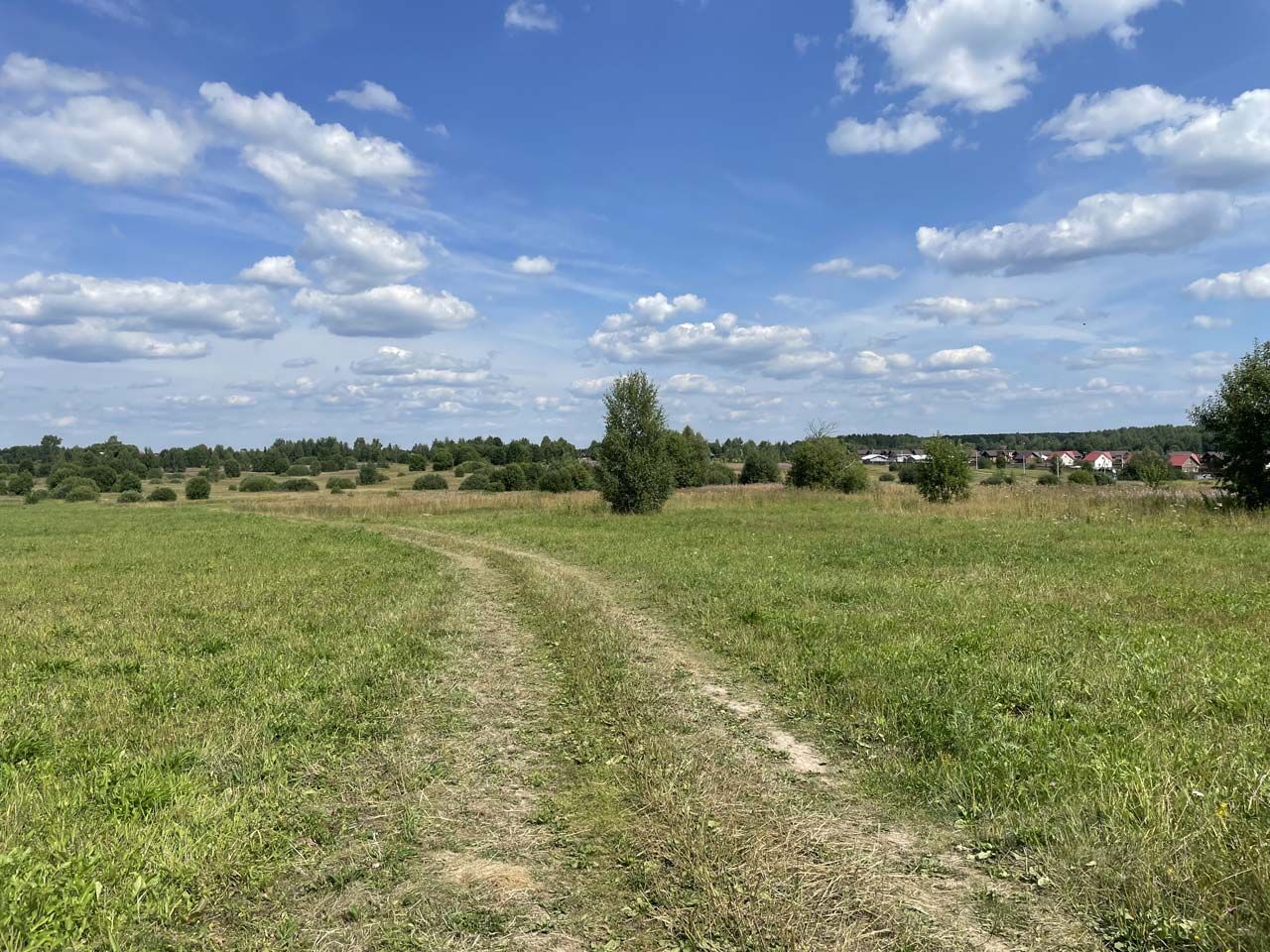 Участок в Александровке Смоленск. Участок в Александровке Михновка. 40 Га. Деревня Полиносово Владимирская область.