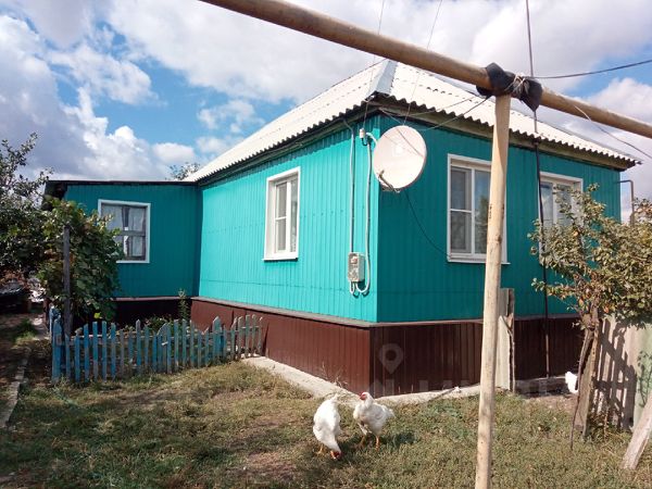 Поворино Воронежская Область Магазины Поворино Воронежская Область Магазины