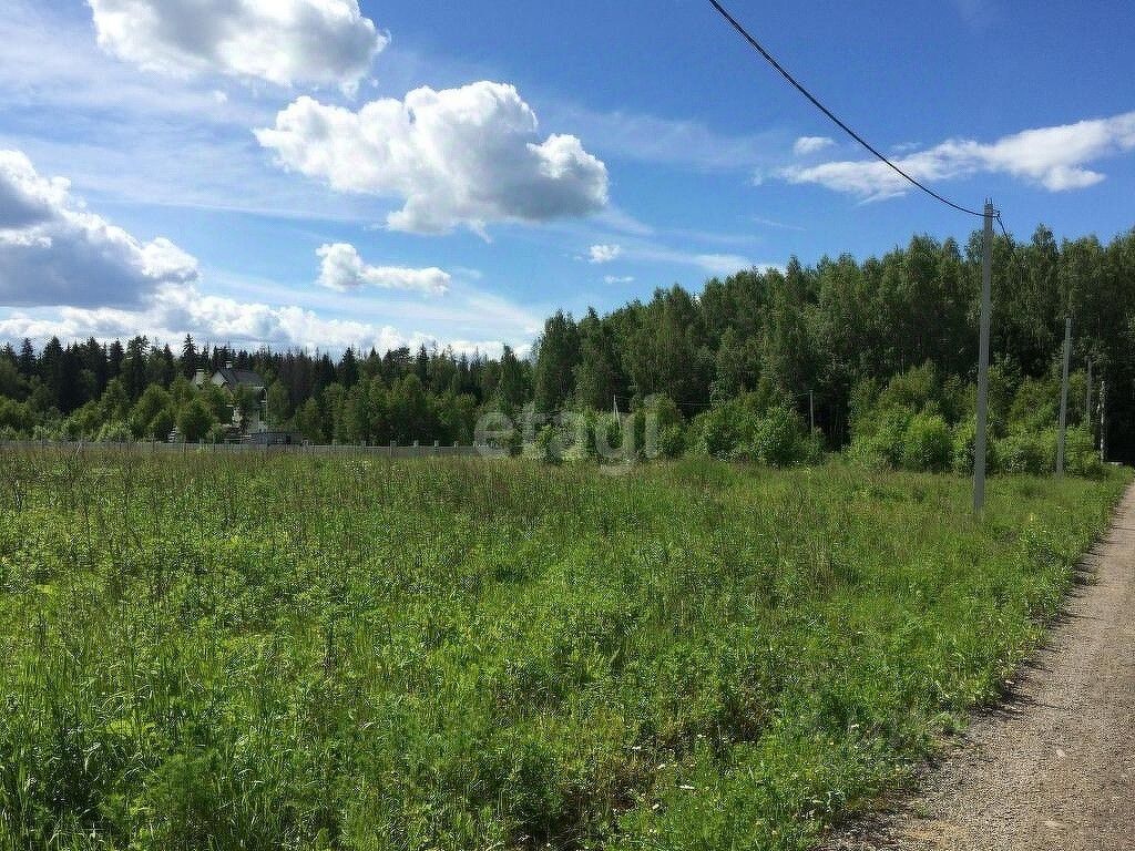 Деревня Повадино. Деревня Повадино Солнечногорский район. Участок 13 соток. Земельные участки Солнечногорский район.