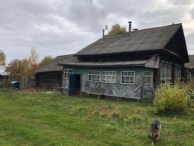 Погода в деревне беласовка нижегородская обл. Беласовка Нижегородская область. Беласовка Семеновский район Нижегородская область. Деревня Беласовка. Беласовка Семеновский район Нижегородская область история.