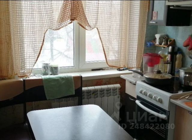 Новогодняя 16 Кедровка Купить Новогодняя 16 Кедровка Купить