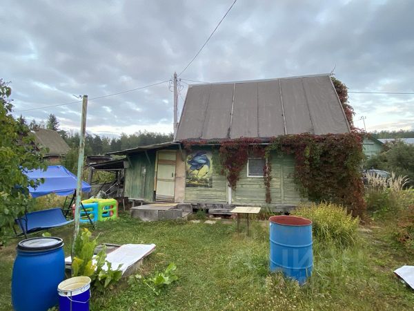 Купить Дачу В Надеждинском Районе Недорого