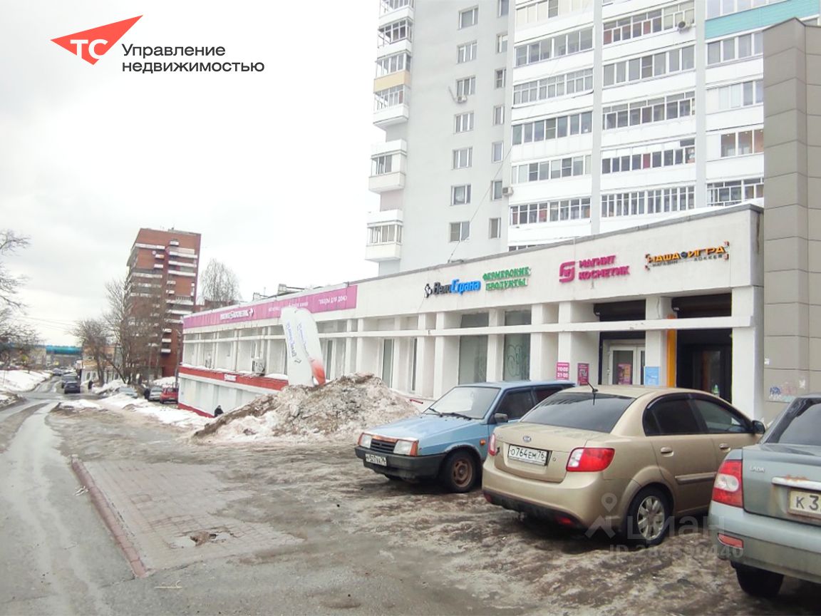 велострана ярославль. московский проспект 143 ярославль. московский проспект 104 ярославль. московский проспект 141 ярославль фото. московский проспект 141 ярославль.