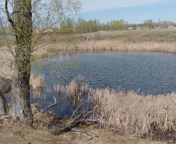 Погода белозерки самарская область