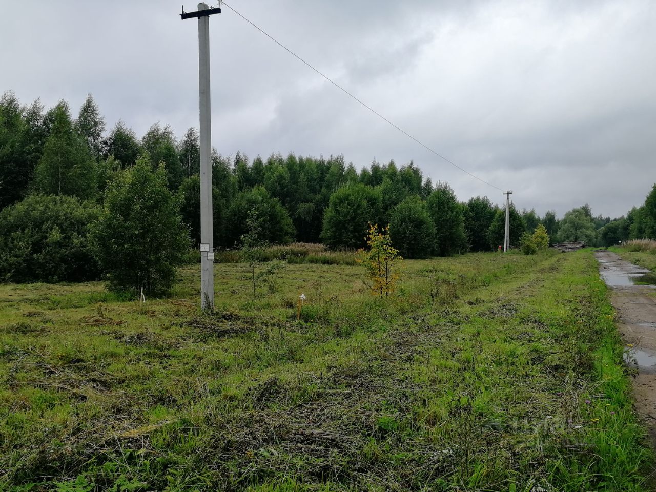 Поселок зеленый краснозаводск. Зеленая Дубрава Московская область. Зеленая Дубрава Краснозаводск. 1400 Соток. Деревня зеленая Дубрава Московская обл.