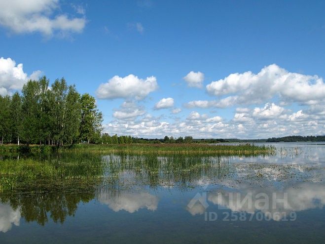 Ивантеево валдайский район фото