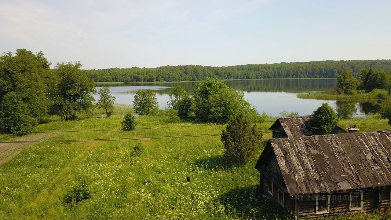 Тверская область Торопецкий район. Озеро сельское Тверская область Торопецкий район. Озеро удбище Торопецкий район. Понизовье Торопецкий район.