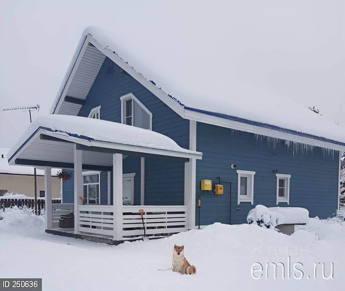 Снт пальмира. Снт пальмира. Рынок в агалатово. Снт пальмира агалатово. Снт северная пальмира.