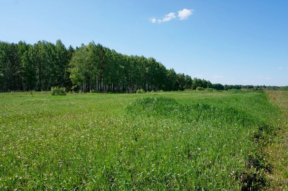 Серпухов Купить Участок Под Строительство