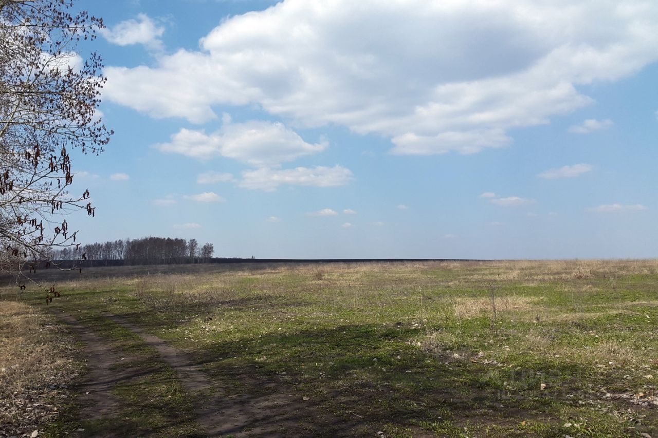 Погода в селе медвежье