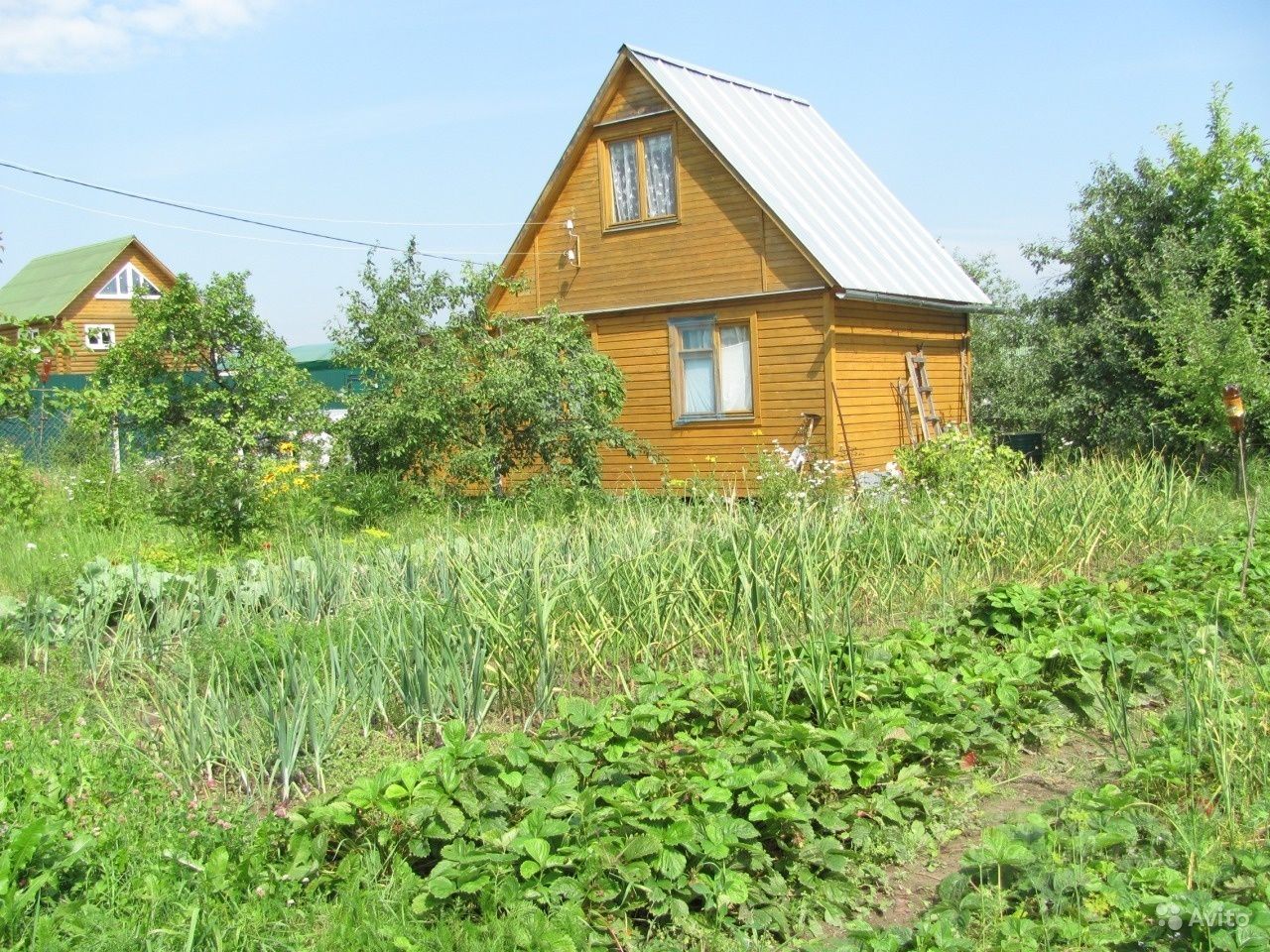 Дачу Купить В Подмосковье До 1000000 Пе