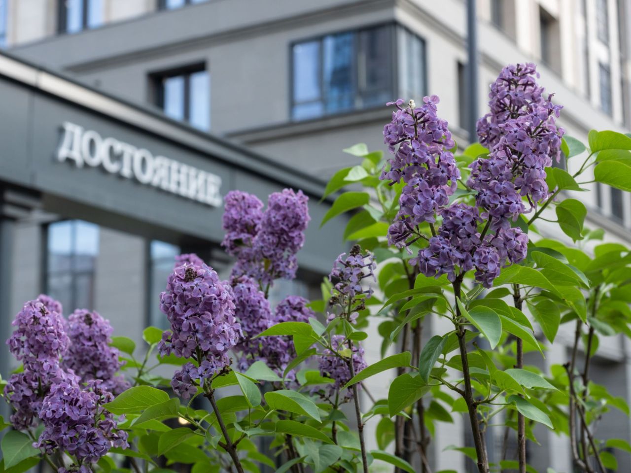 новостройки