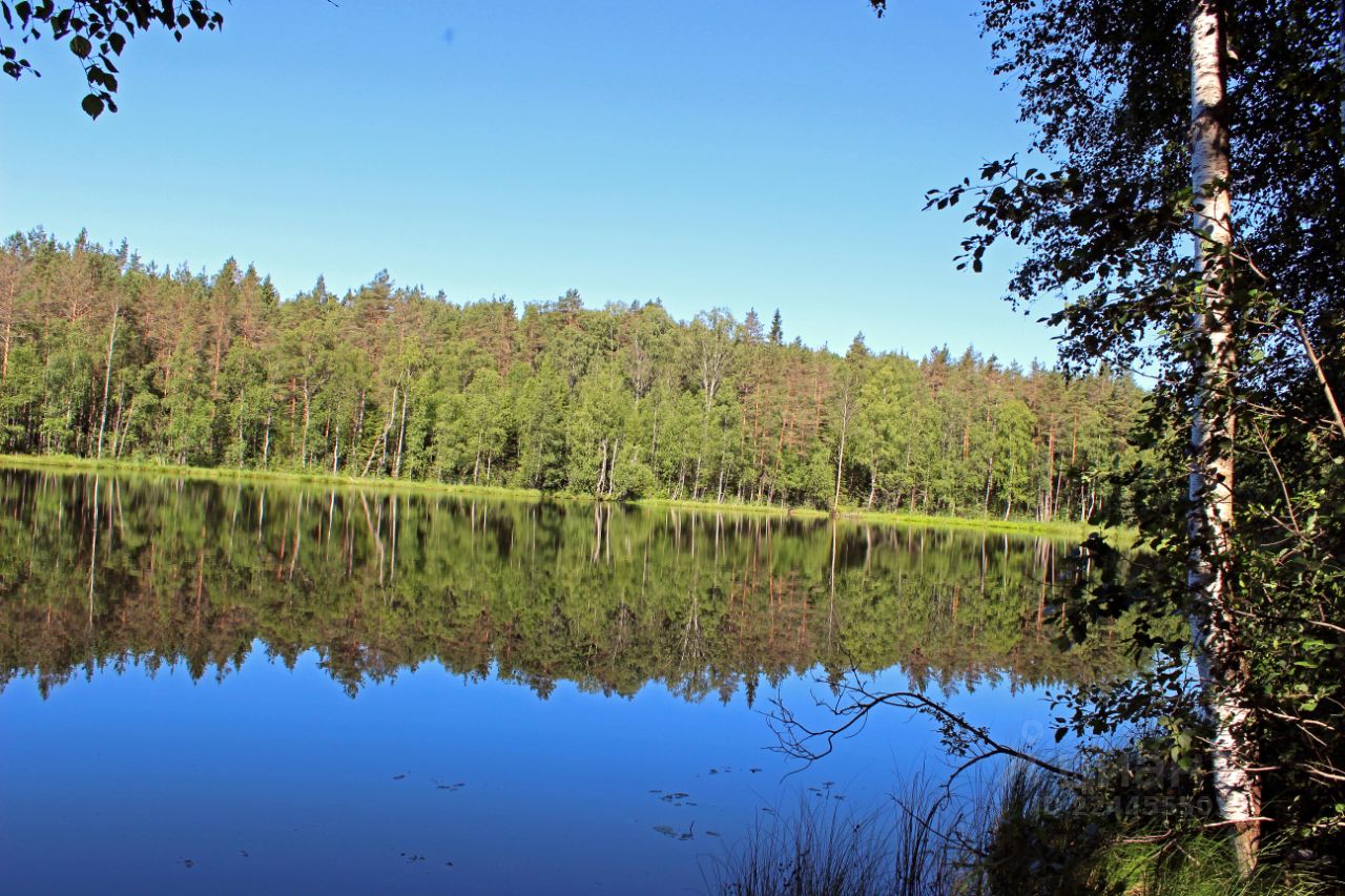 Райвио лахденпохский район карта