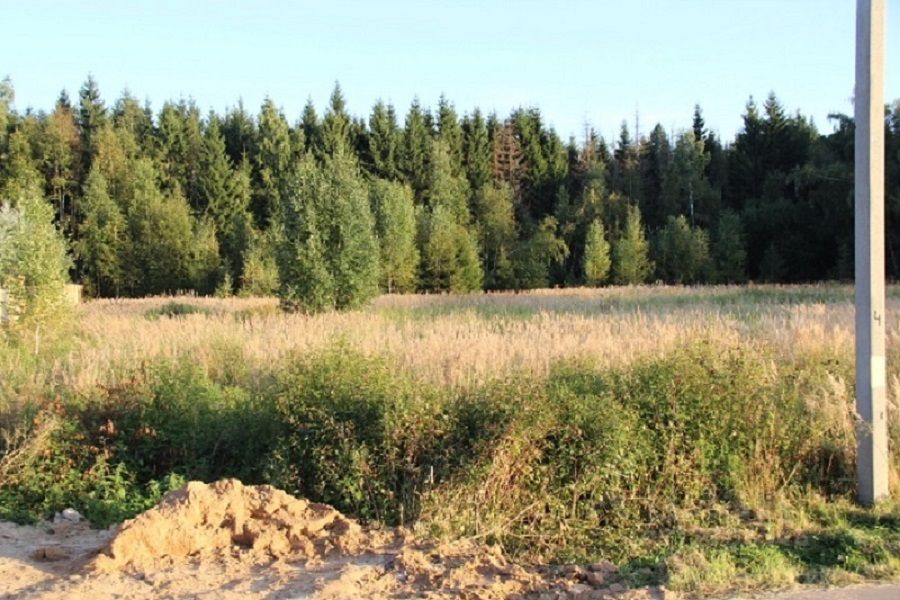 Купить участок 40сот. Москва, ТАО (Троицкий), Щаповское поселение, Лесное Озеро коттеджный поселок, 83 - база ЦИАН, объявление 212788548