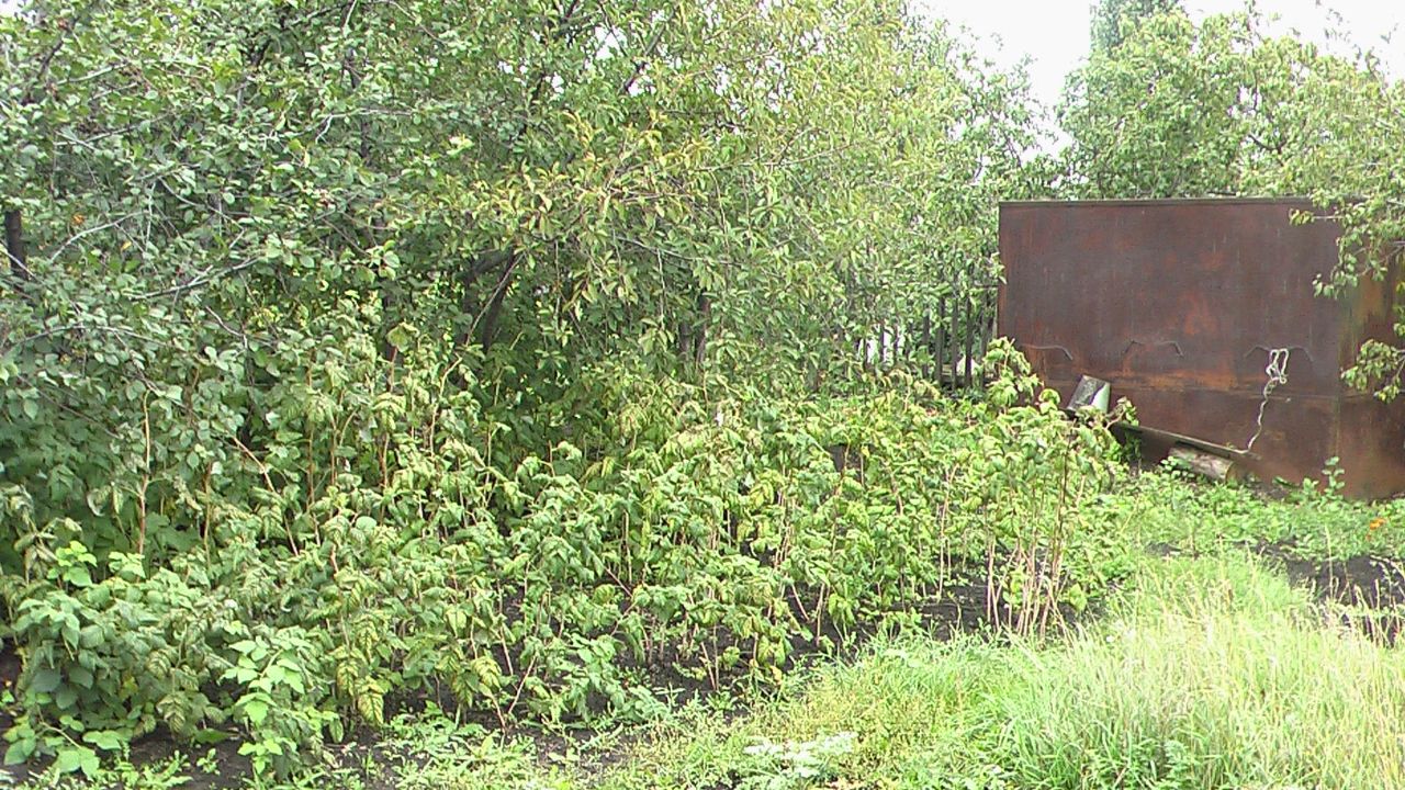 Погода комсомольский самарская область кинельский. СТД Богдановка Кинельский район. Самарская область Кинельский район с Богдановка ул Конычева. Самарская область, Кинельский район, с. Богдановка, ул. Конычева,23). Богдановка Конычева 23.